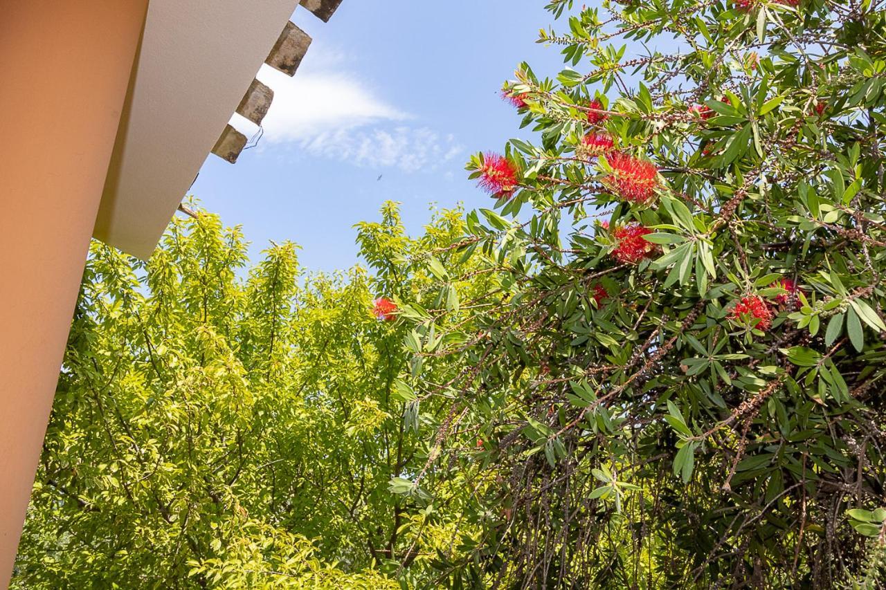 Villa Caterina La Maddalena  Eksteriør billede